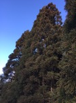 25CC3247-EF7B-4CB0-922A-7C9F5B889D4B.jpeg