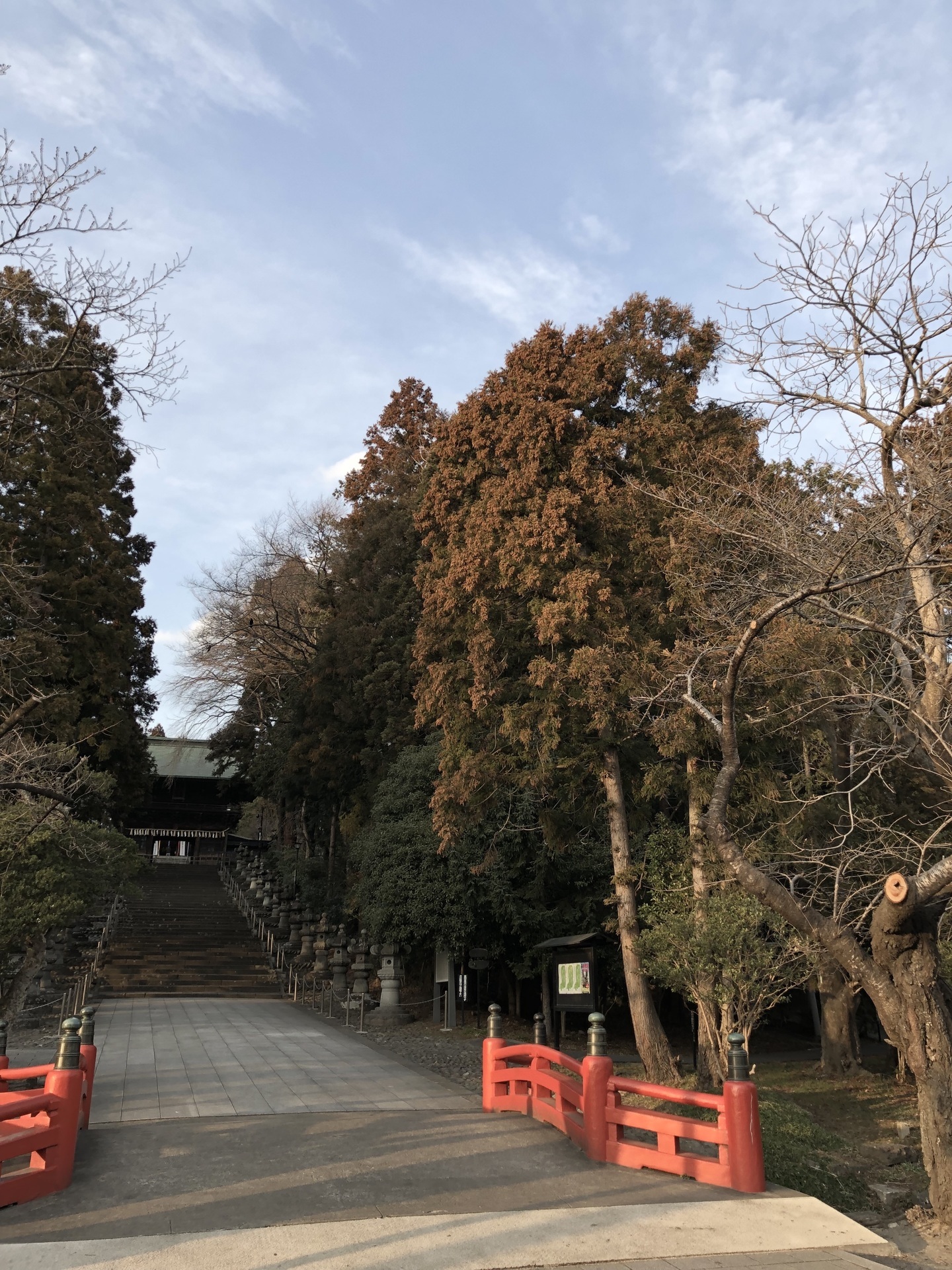 3月東照宮1.jpg