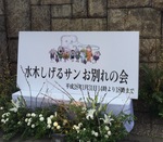 image.jpeg